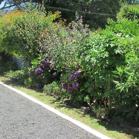 Cozy Haven - Waihi Apartment Exterior photo
