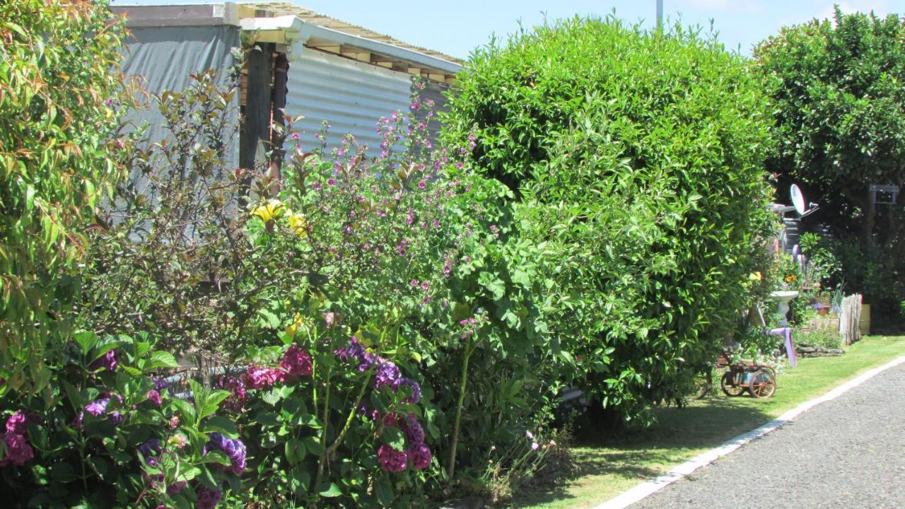 Cozy Haven - Waihi Apartment Exterior photo